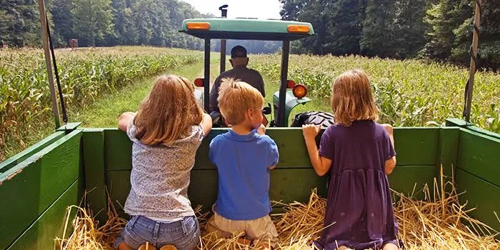 Agroturismo