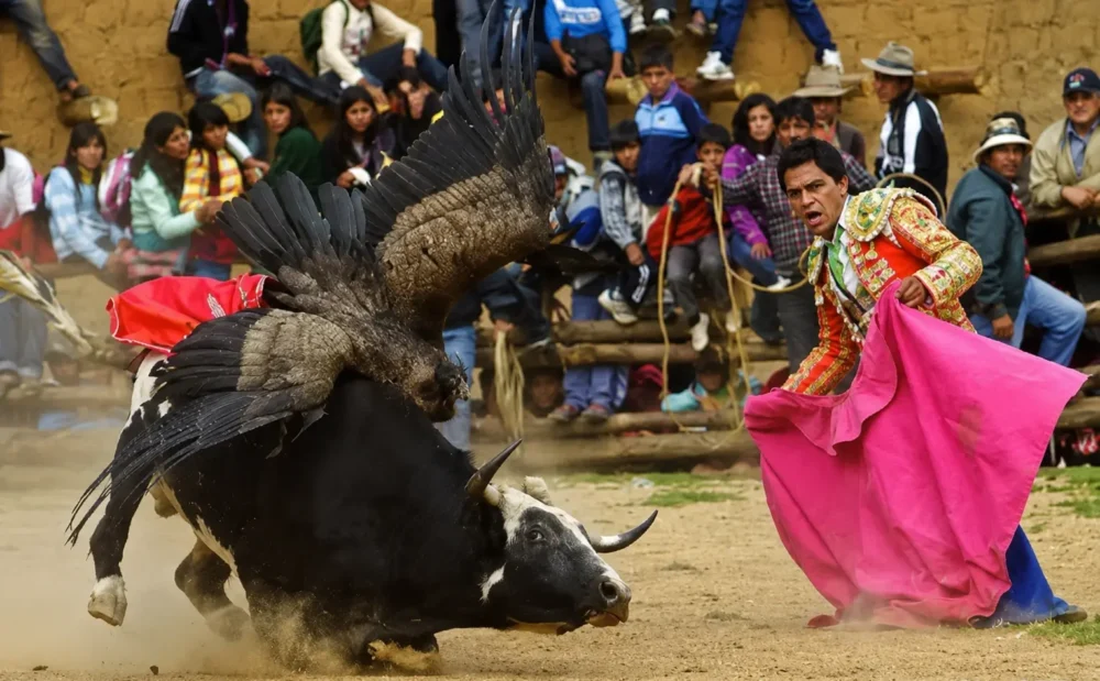 Yawar Fiesta