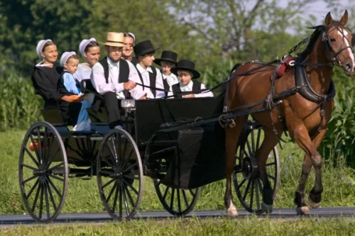 Amish