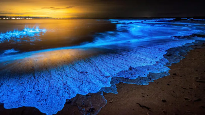 Maldives