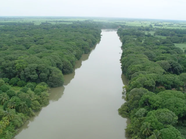 Río Papaloapan