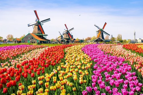 Holanda