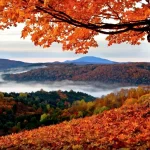 paisajes de otoño4