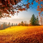 paisajes de otoño5