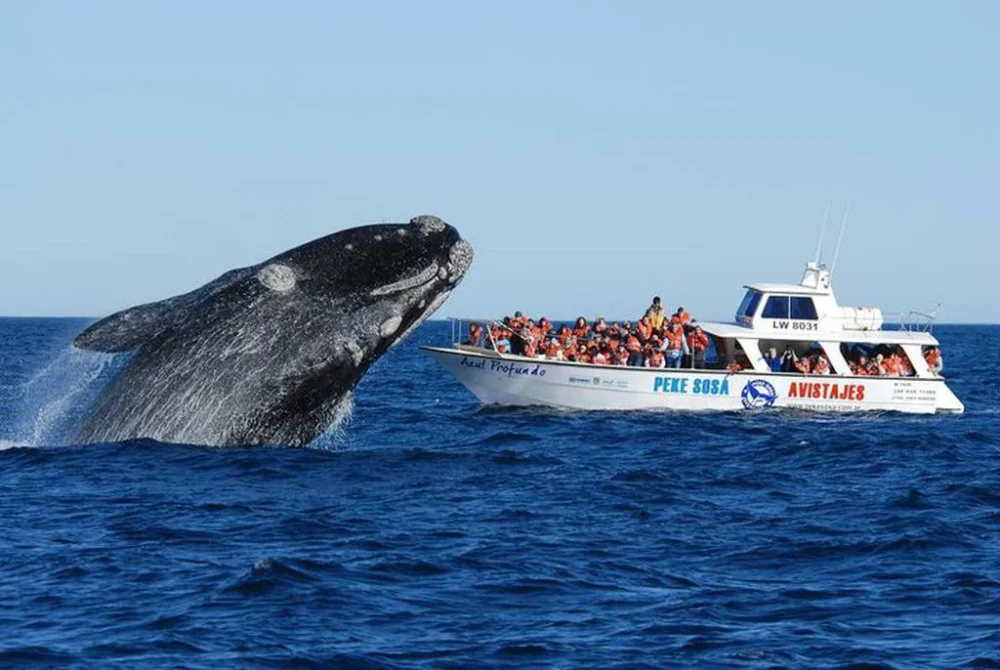 Puerto Madryn