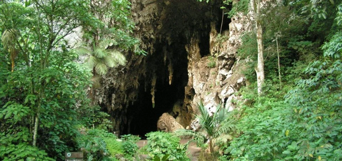 Monagas