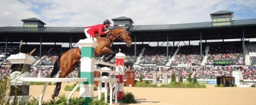 Kentucky Horse Park